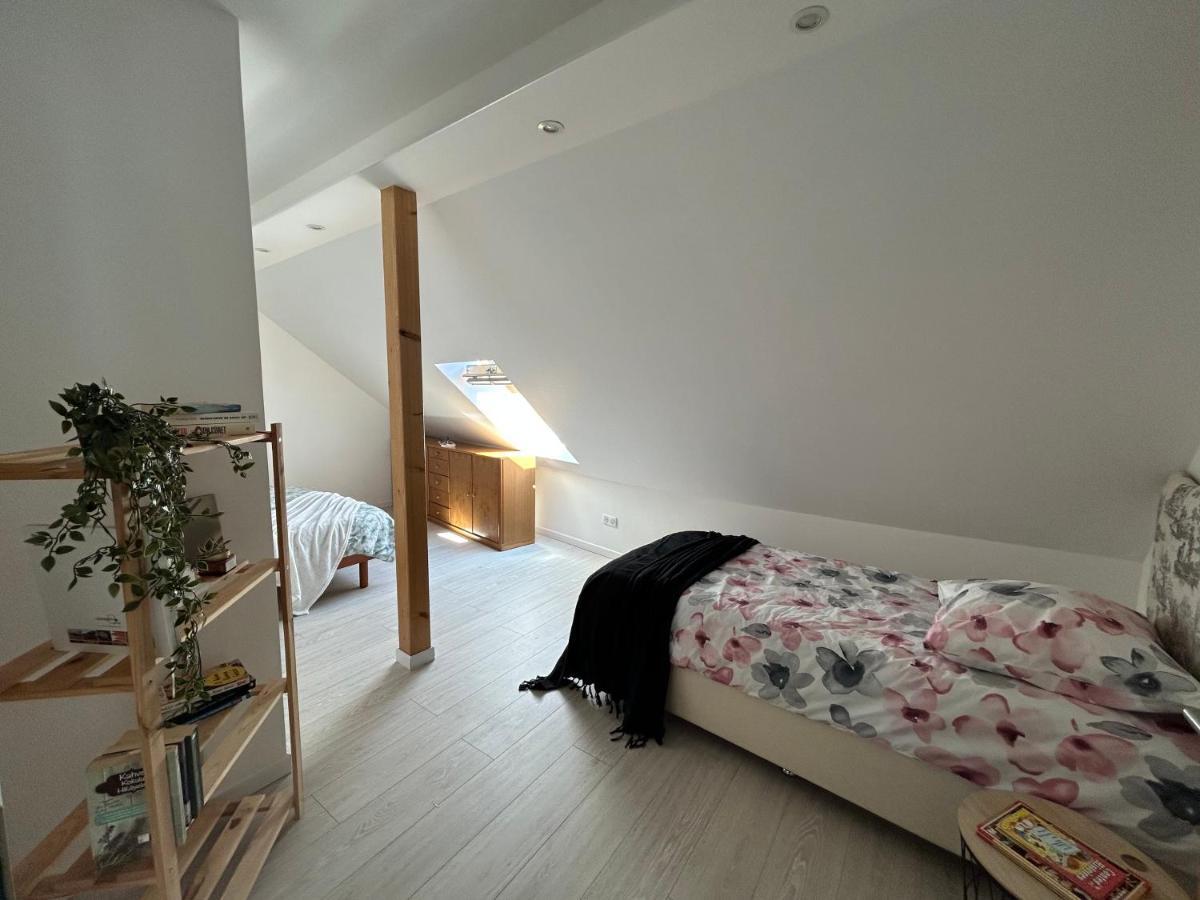 Gite Ma Maison Kintzheim Kültér fotó